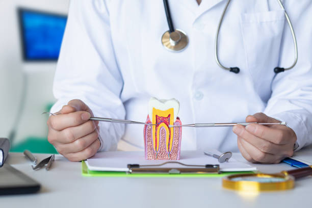 Best Knocked-Out Tooth Emergency  in Great Neck Gardens, NY